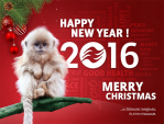 Su artėjančiomis Šv. Kalėdomis ir Naujaisiais 2016 metais!